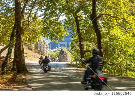 Group of Motorcyclists on a Summer Mountain Road 116662646