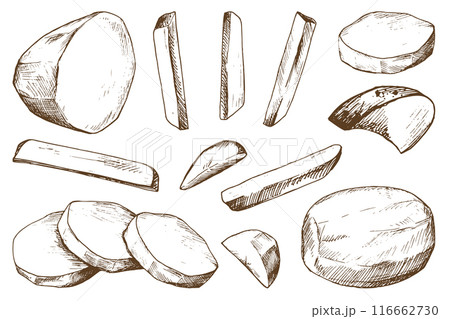 White potatoes, peeled, whole, half, cut into slices and sticks for French fries. Graphic illustration hand drawn in brown ink. EPS vector on the theme of harvest cooking, food, packaging White potatoes, peeled, whole, half, cut into slices and sticks for French fries. Graphic illustration hand drawn in brown ink. EPS vector on the theme of harvest cooking, food, packaging 116662730