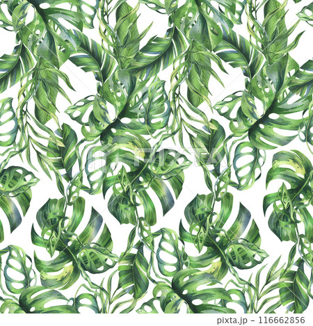 Tropical coconut, banana palm leaves, monstera, monkey mask, frangipani, bright juicy green. Hand drawn watercolor botanical illustration. Seamless pattern on a white background. 116662856