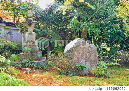 大原 実光院 旧理覚院庭園 美しい秋の庭(京都市左京区) 大原 実光院 旧理覚院庭園 美しい秋の庭(京都市左京区) 116662952