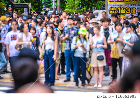 日本の東京都市景観 インバウンド復活…まるで外国…外国人観光客らで賑わう秋葉原＝22日 116662985