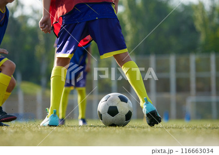 Focused on legs in sportswear, soccer players in motion with ball on field, playing, dribbling ball. Sport school 116663034