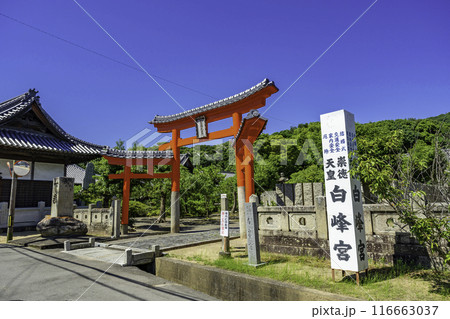 四国八十八箇所79番　天皇寺　鳥居　香川県坂出市 116663037