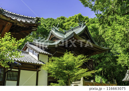 四国八十八箇所79番 天皇寺 本殿 香川県坂出市 四国八十八箇所79番 天皇寺 本殿 香川県坂出市 116663075