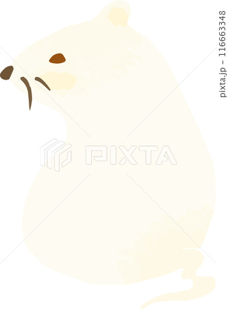 白いねずみの手描き風イラスト 白いねずみの手描き風イラスト 116663348