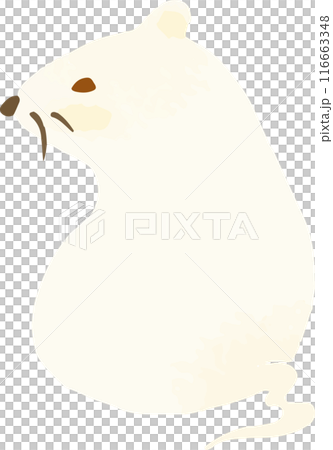 白いねずみの手描き風イラスト 白いねずみの手描き風イラスト 116663348