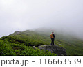 山岳にてたたずむ男性 116663539