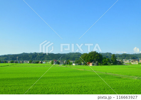 JR東日本上越線の越後川口駅から八色駅までの車窓風景(2022年夏) 116663927