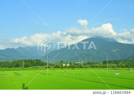 JR東日本上越線の八色駅から上越国際スキー場前駅までの車窓風景(2022年夏) 116663984