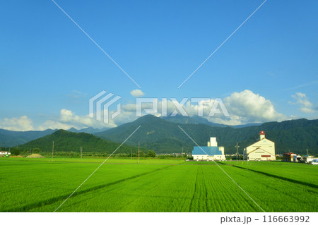 JR東日本上越線の八色駅から上越国際スキー場前駅までの車窓風景(2022年夏) JR東日本上越線の八色駅から上越国際スキー場前駅までの車窓風景(2022年夏) 116663992