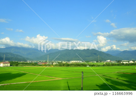 JR東日本上越線の八色駅から上越国際スキー場前駅までの車窓風景(2022年夏) 116663996