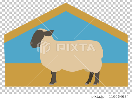 Cartoon style illustration of a side view of a sheepfold and Suffolk sheep Cartoon style illustration of a side view of a sheepfold and Suffolk sheep 116664684