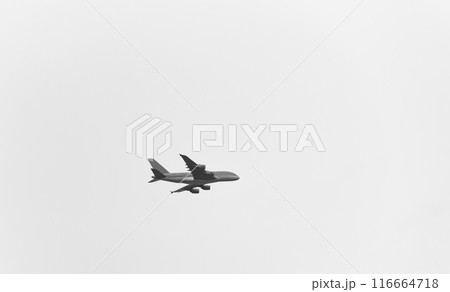 Airplane flying in the sky Airplane flying in the sky 116664718