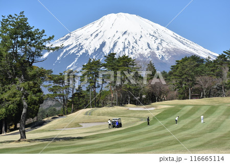 富士山とゴルフ 116665114