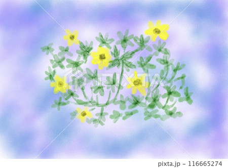 夜に咲く花 116665274