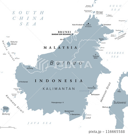 Borneo, divided among Malaysia, Brunei and Indonesia, gray political map. Third-largest island in the world, and one of the Greater Sunda Islands, in the geographic centre of Maritime Southeast Asia. Borneo, divided among Malaysia, Brunei and Indonesia, gray political map. Third-largest island in the world, and one of the Greater Sunda Islands, in the geographic centre of Maritime Southeast Asia. 116665588