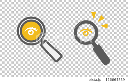 discovery eye magnifying glass 116665889