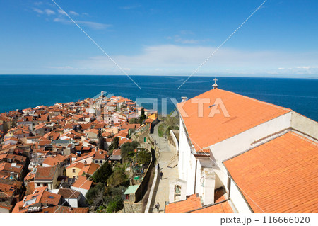 Piran medieval town aerial view, Slovenia 116666020