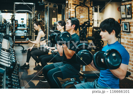 スポーツジムでウエイトトレーニングをする男女 116666101