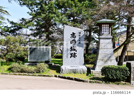 新緑の高岡古城公園　高岡城跡の風景　富山県観光スポット 116666114