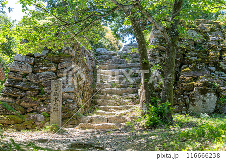 【徳島】一宮城本丸跡 石垣 【徳島】一宮城本丸跡 石垣 116666238