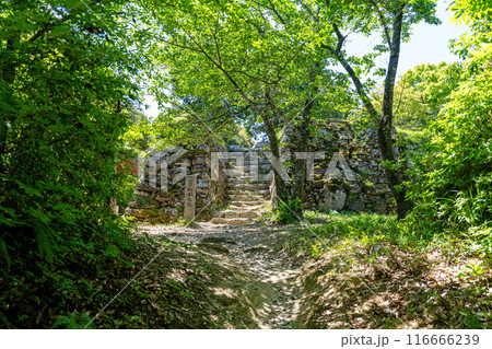 【徳島】一宮城本丸跡　石垣 116666239