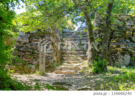 【徳島】一宮城本丸跡 石垣 【徳島】一宮城本丸跡 石垣 116666240