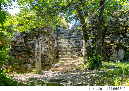 【徳島】一宮城本丸跡 石垣 【徳島】一宮城本丸跡 石垣 116666242