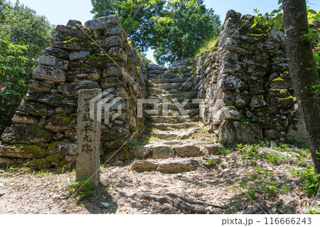 【徳島】一宮城本丸跡 石垣 【徳島】一宮城本丸跡 石垣 116666243