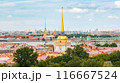 Cityscape of St. Petersburg with the Hermitage, Peter and Paul Fortress and the Admiralty 116667524