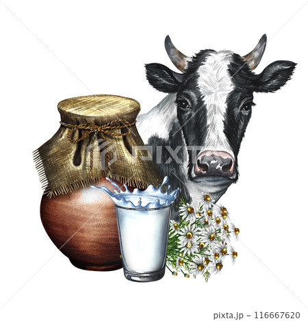 An earthenware jug and a glass of milk. Composition with milk and cow's nose. A hand-drawn watercolor illustration. For advertising banners, flyers about milk, packaging with labels of dairy products. An earthenware jug and a glass of milk. Composition with milk and cow's nose. A hand-drawn watercolor illustration. For advertising banners, flyers about milk, packaging with labels of dairy products. 116667620