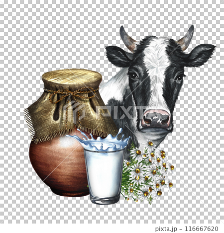 An earthenware jug and a glass of milk. Composition with milk and cow's nose. A hand-drawn watercolor illustration. For advertising banners, flyers about milk, packaging with labels of dairy products. 116667620