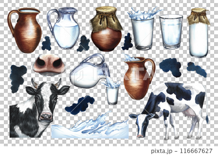 Milk. A set of dairy products. Ceramic and glassware, cows and milk splashes. Watercolor illustration made by hand, isolated clipart. For the design of dairy products advertising, packaging and label. Milk. A set of dairy products. Ceramic and glassware, cows and milk splashes. Watercolor illustration made by hand, isolated clipart. For the design of dairy products advertising, packaging and label. 116667627