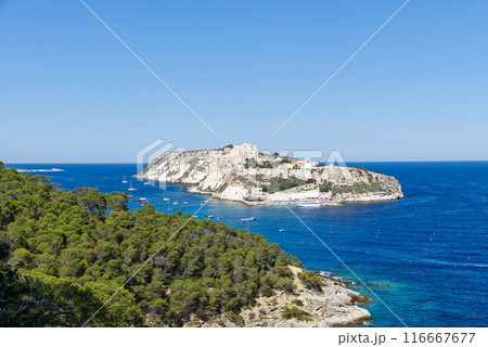 San Nicola island of the Tremiti Islands archipelago in summer, Puglia, Italy. 116667677