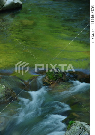 渓流風景 116667859