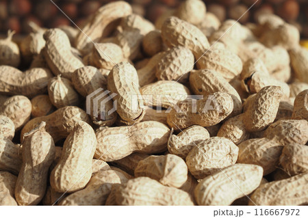 top view of Several peanuts in a basket. top view of Several peanuts in a basket. 116667972