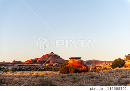 The Needles area of Canyonlands The Needles area of Canyonlands 116668592