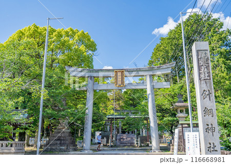 針綱神社　濃尾の総鎮守　織田信康が自ら手彫りの狛犬一対を奉納して安産祈願　安産、子授けにご利益 116668981