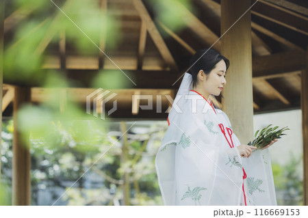 千早を着た巫女さん 116669153