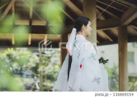 千早を着た巫女さん 116669154