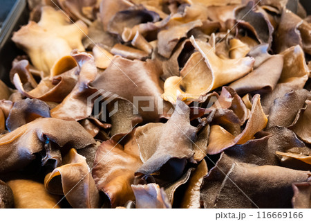dried black fungus mushrooms closeup 116669166