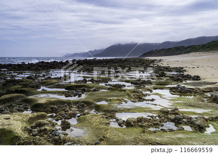 奄美大島　笠利町　神の子海岸 116669559