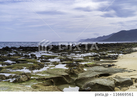 奄美大島 笠利町 神の子海岸 奄美大島 笠利町 神の子海岸 116669561