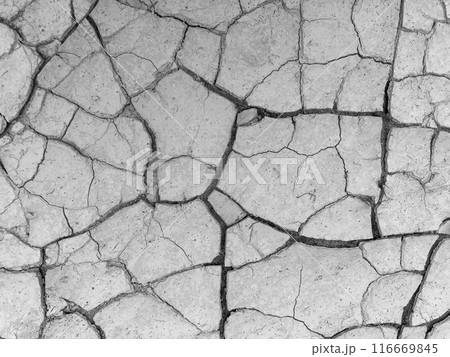 ひび割れた土地 ひび割れた土地 116669845