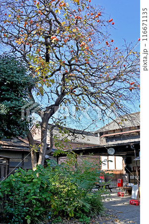 中山道深谷宿:旧田中藤左衛門商店(七ツ梅酒造) 深谷市深谷町 中山道深谷宿:旧田中藤左衛門商店(七ツ梅酒造) 深谷市深谷町 116671135