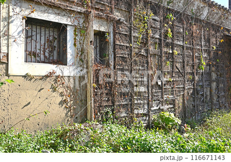 中山道深谷宿:旧田中藤左衛門商店(七ツ梅酒造) 深谷市深谷町 中山道深谷宿:旧田中藤左衛門商店(七ツ梅酒造) 深谷市深谷町 116671143