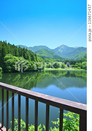初夏の大源太湖・大源太山　鉄橋からの風景　新潟県湯沢町　 116671437