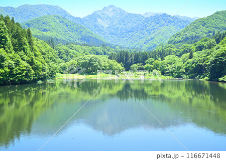 初夏の大源太湖・大源太山　鉄橋からの風景　新潟県湯沢町　 116671448
