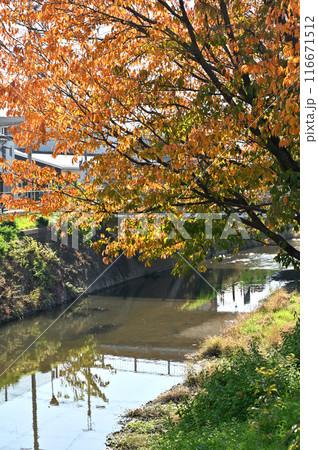 中山道深谷宿：旧中山道　唐沢川 行人橋　深谷市本住 116671512