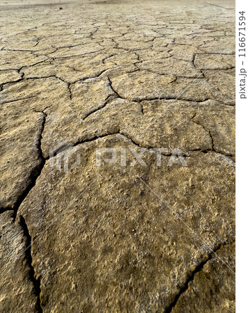 Dry cracked earth highlighting drought and climate change Dry cracked earth highlighting drought and climate change 116671594